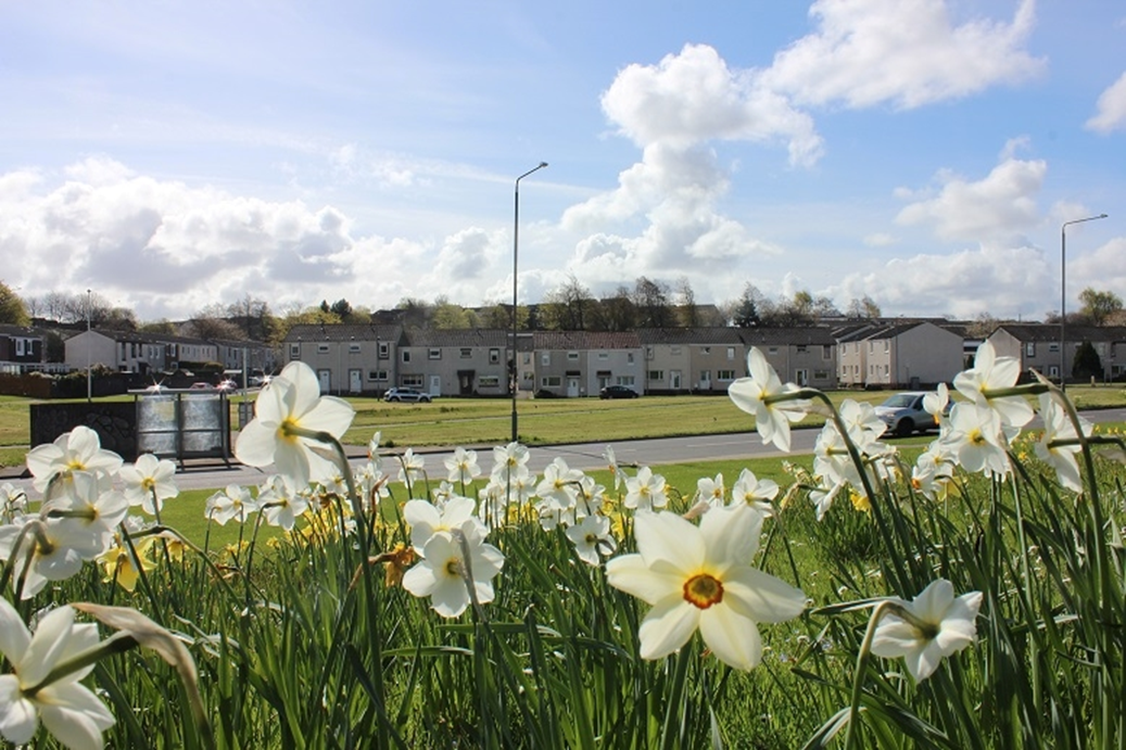 Bridgewater reports strong tenant satisfaction results