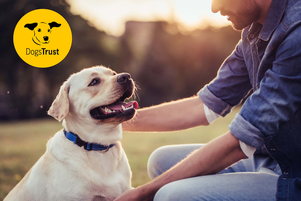 Kingdom joins the pack with pet-friendly accreditation from Dogs Trust