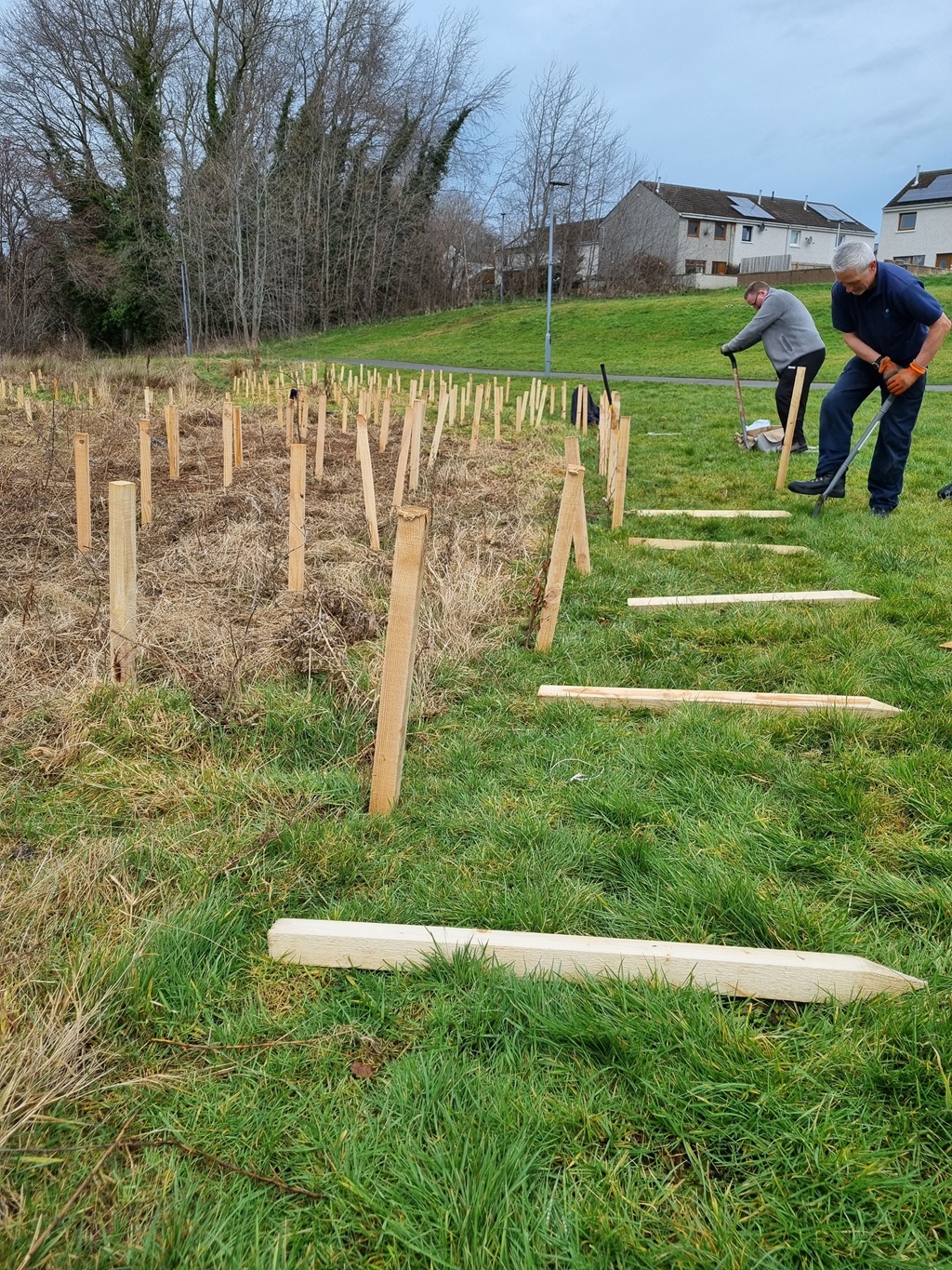 Tree grant helps Grampian grow a greener future