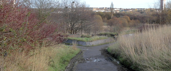 Council backs investment partnership seeking to build 1,000 homes in Possilpark