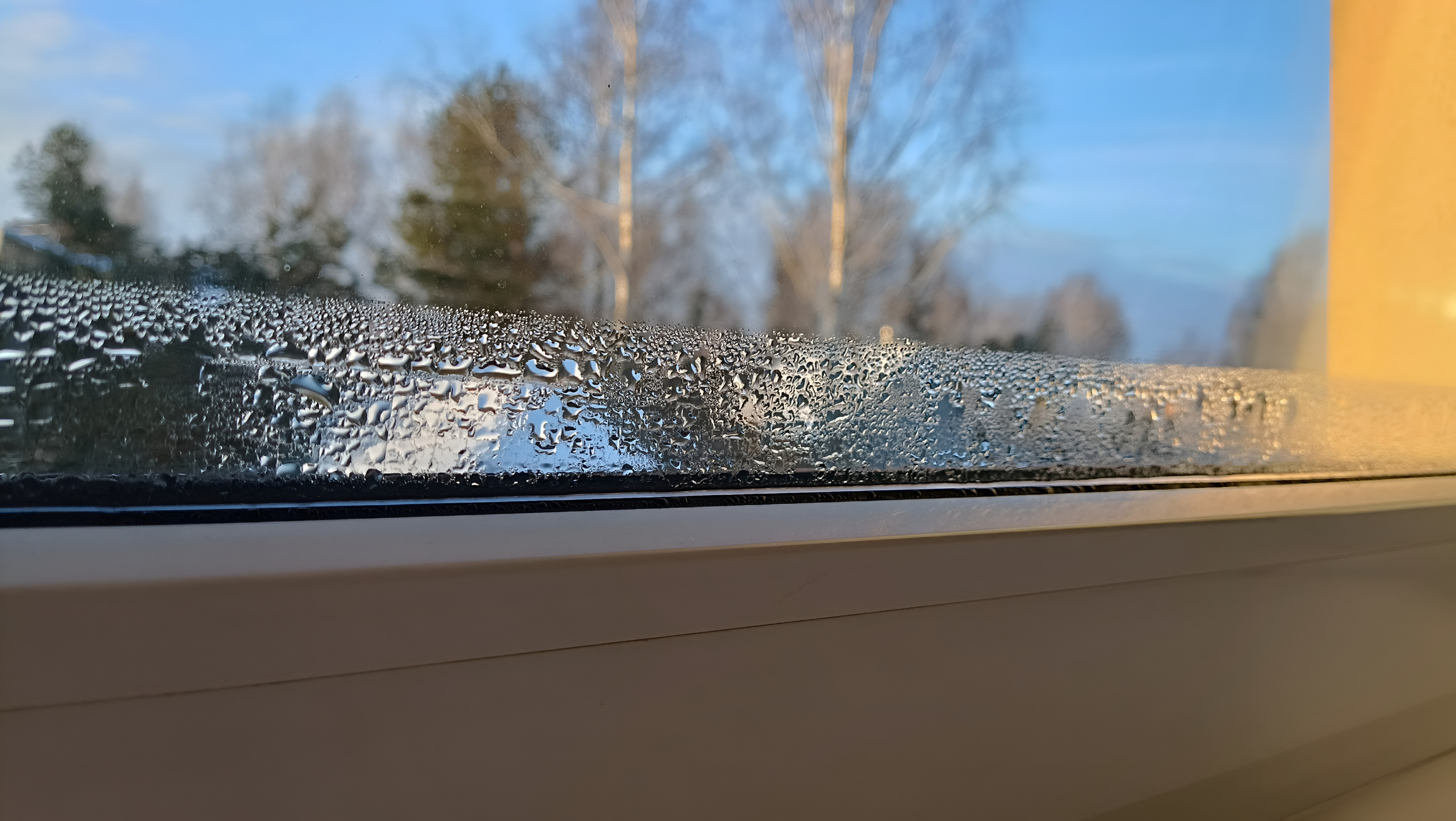 England: Strong early compliance with Awaab’s Law amid capacity and consistency pressures