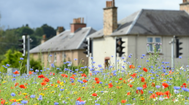 NatureScot launches consultation for new planning tool