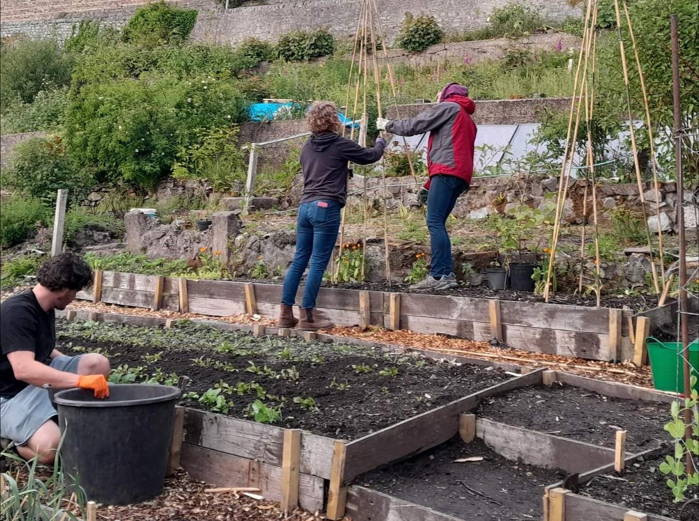 Link provides funding boost to Argyll and the Isles communities