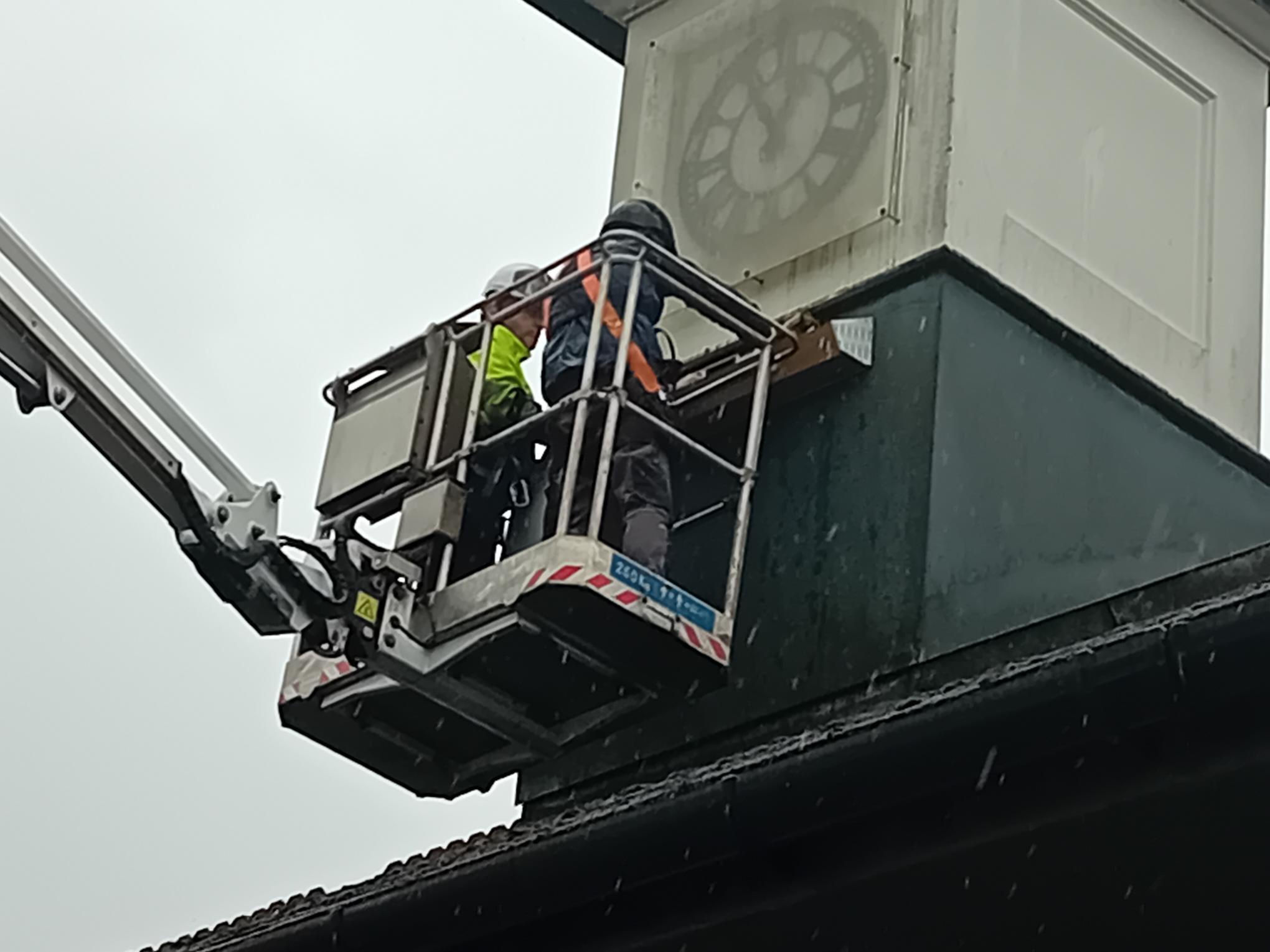 Swift partnership takes flight at Calvay Community Centre