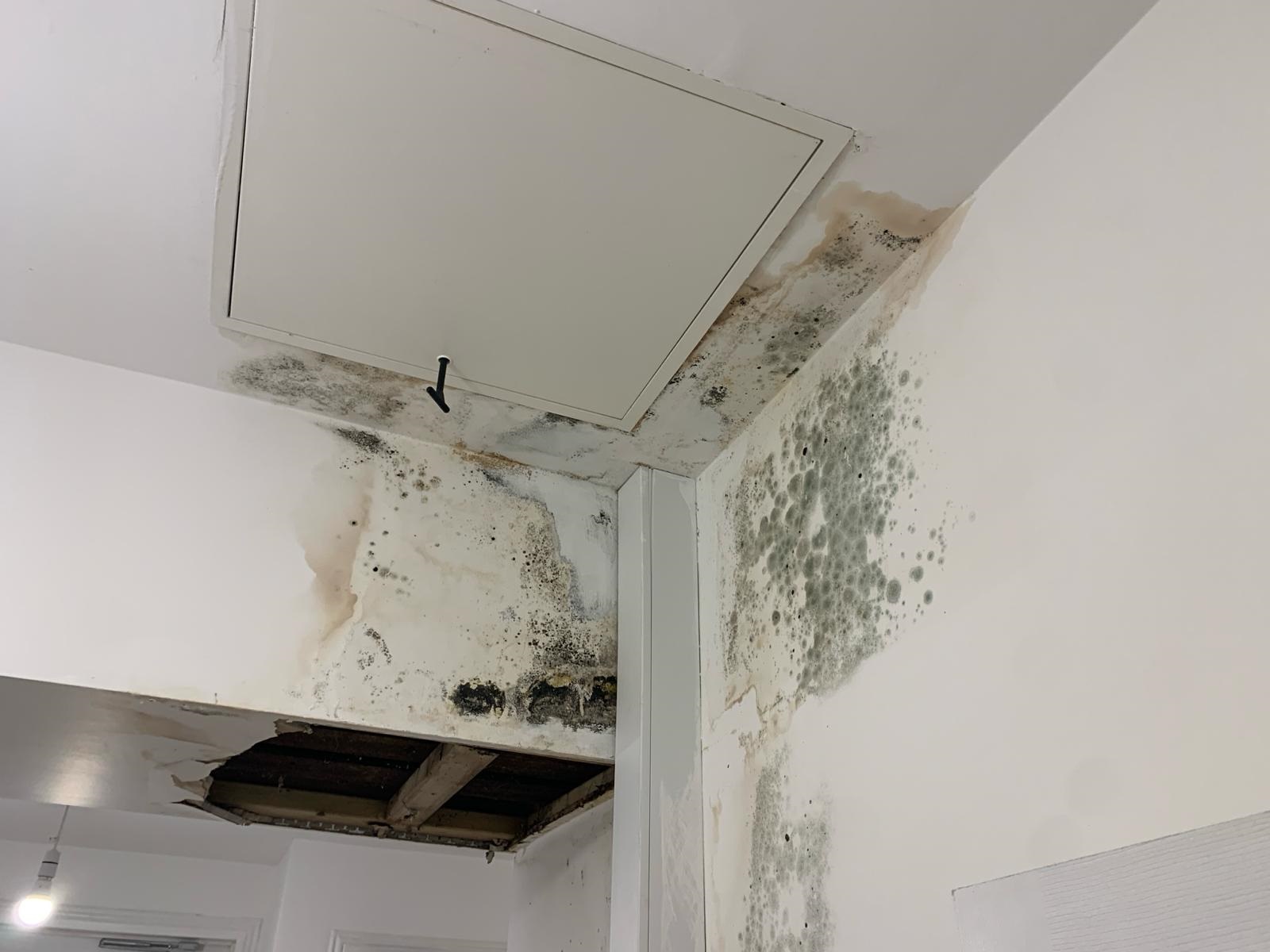 27 firms named on £500m social housing disruptors framework