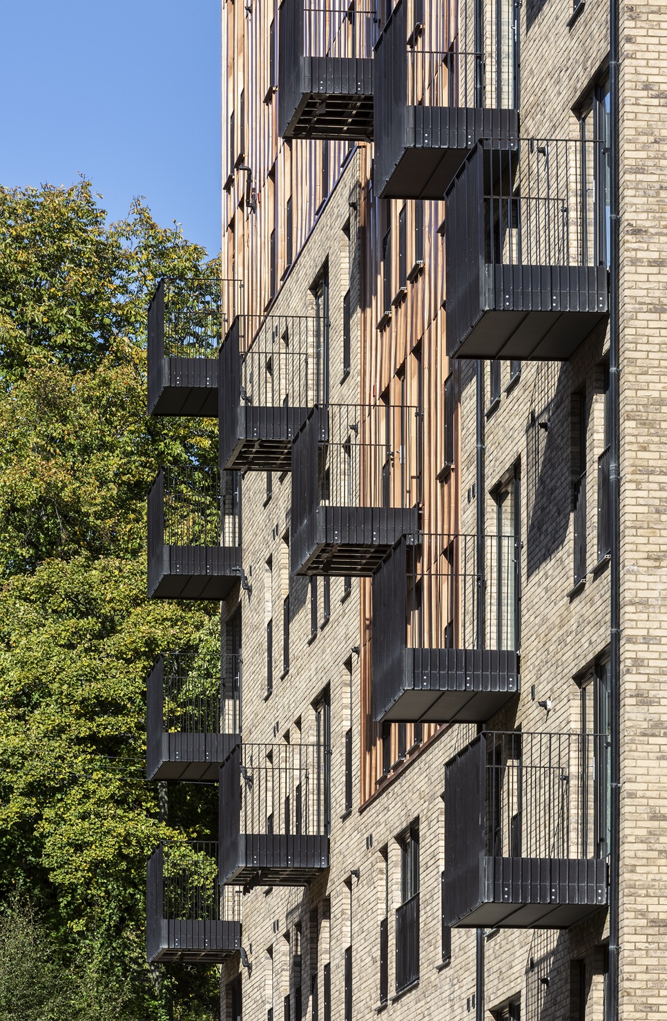 Architects' Showcase: Collective Architecture completes first phase of Victoria Infirmary revival