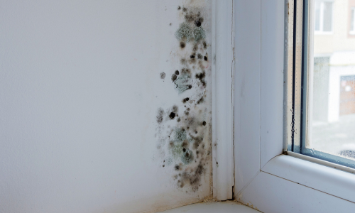 New landlord guidance published on Awaab's Law