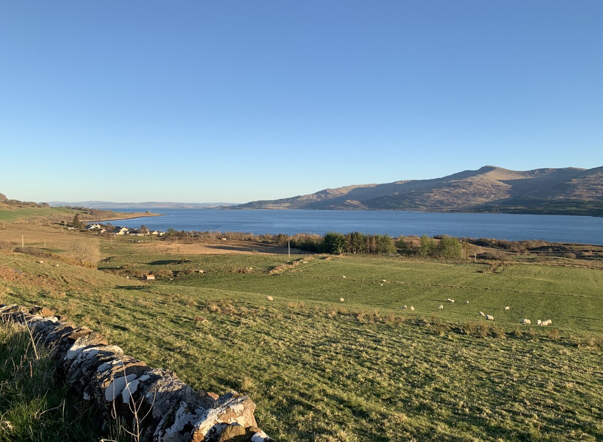 Featured article image