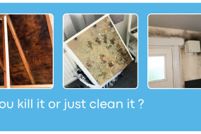Box image