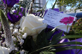 Box image