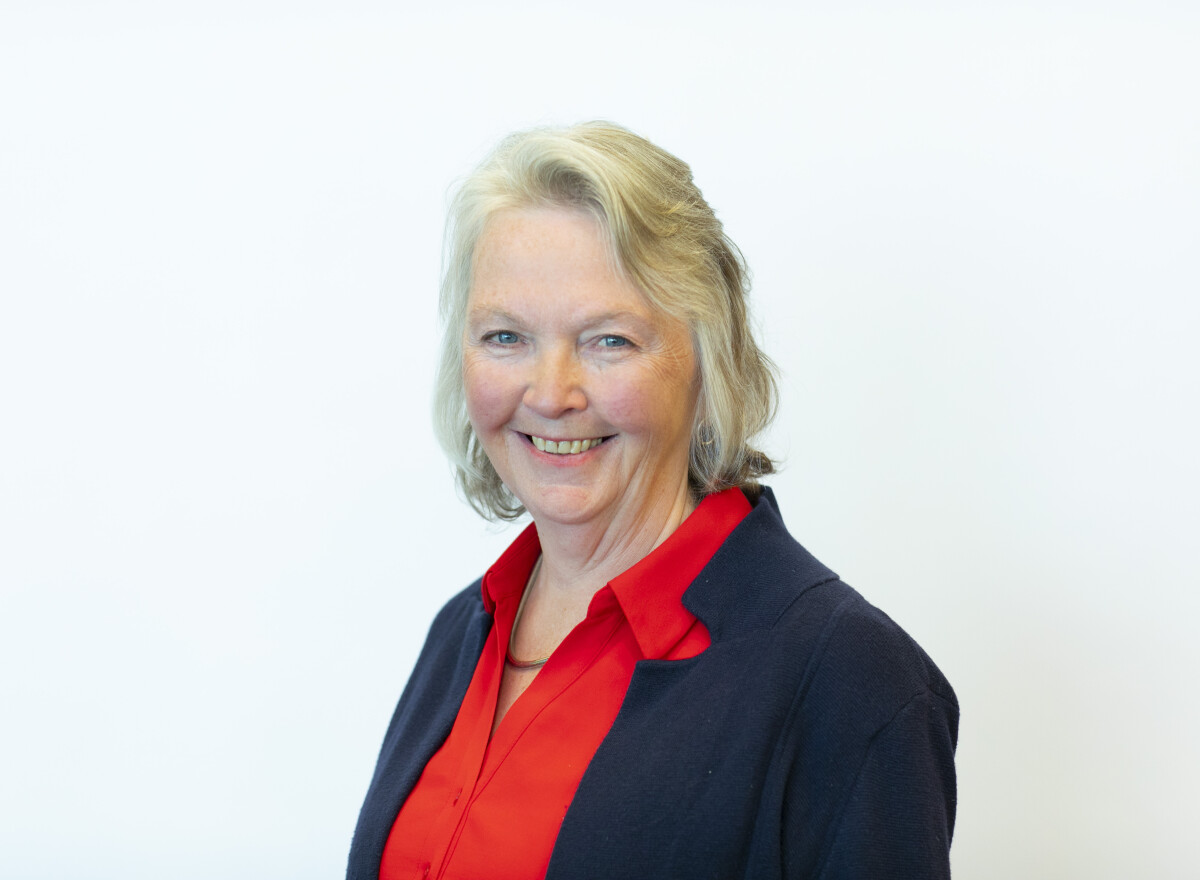 Featured article image