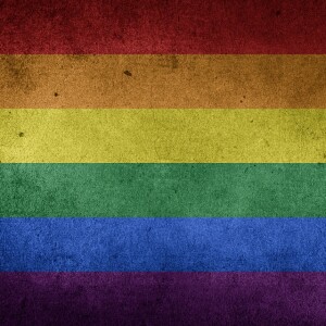 Opinion: Is queer theory relevant to LGBTQ homelessness - Vimarsana News