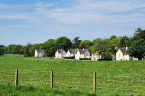 Box image
