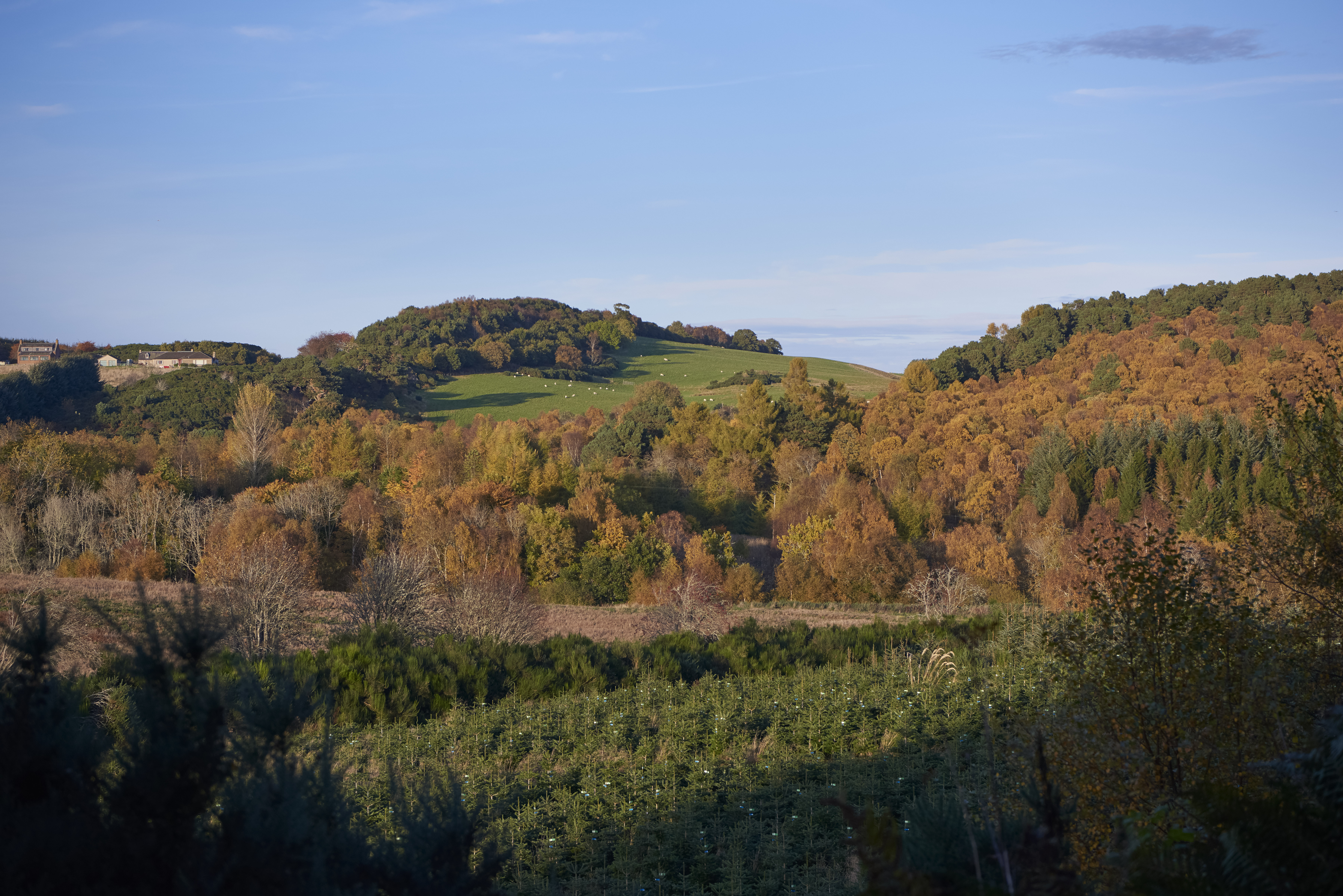 Regional Land Use Partnerships can help drive urgent climate action, says Scottish Land Commission