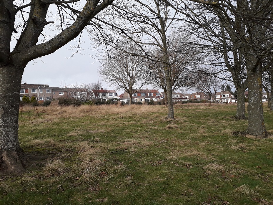 Aberdeen City Council to accept offers for sale of two former school sites