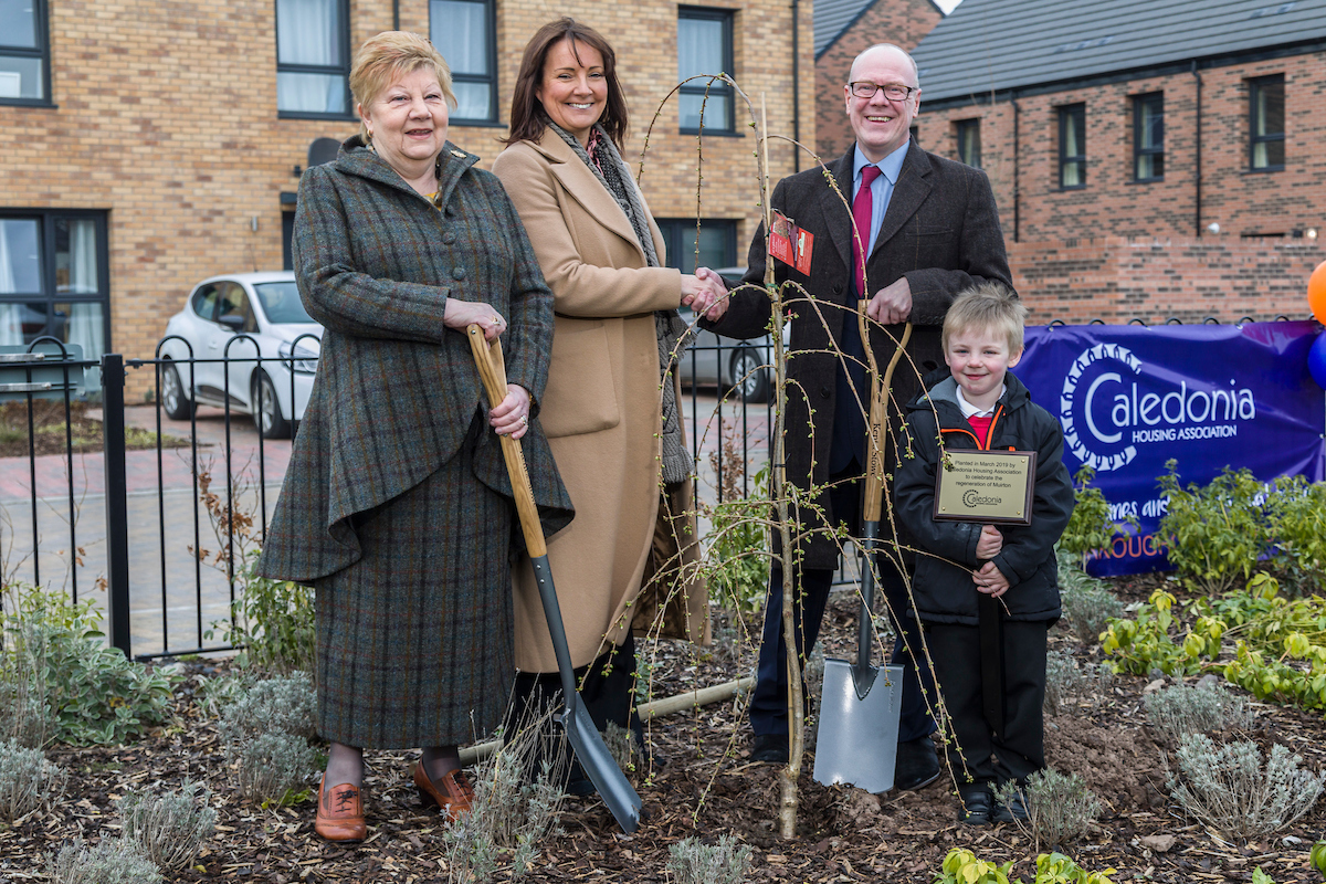 Regeneration blossoms at final phase of Muirton development