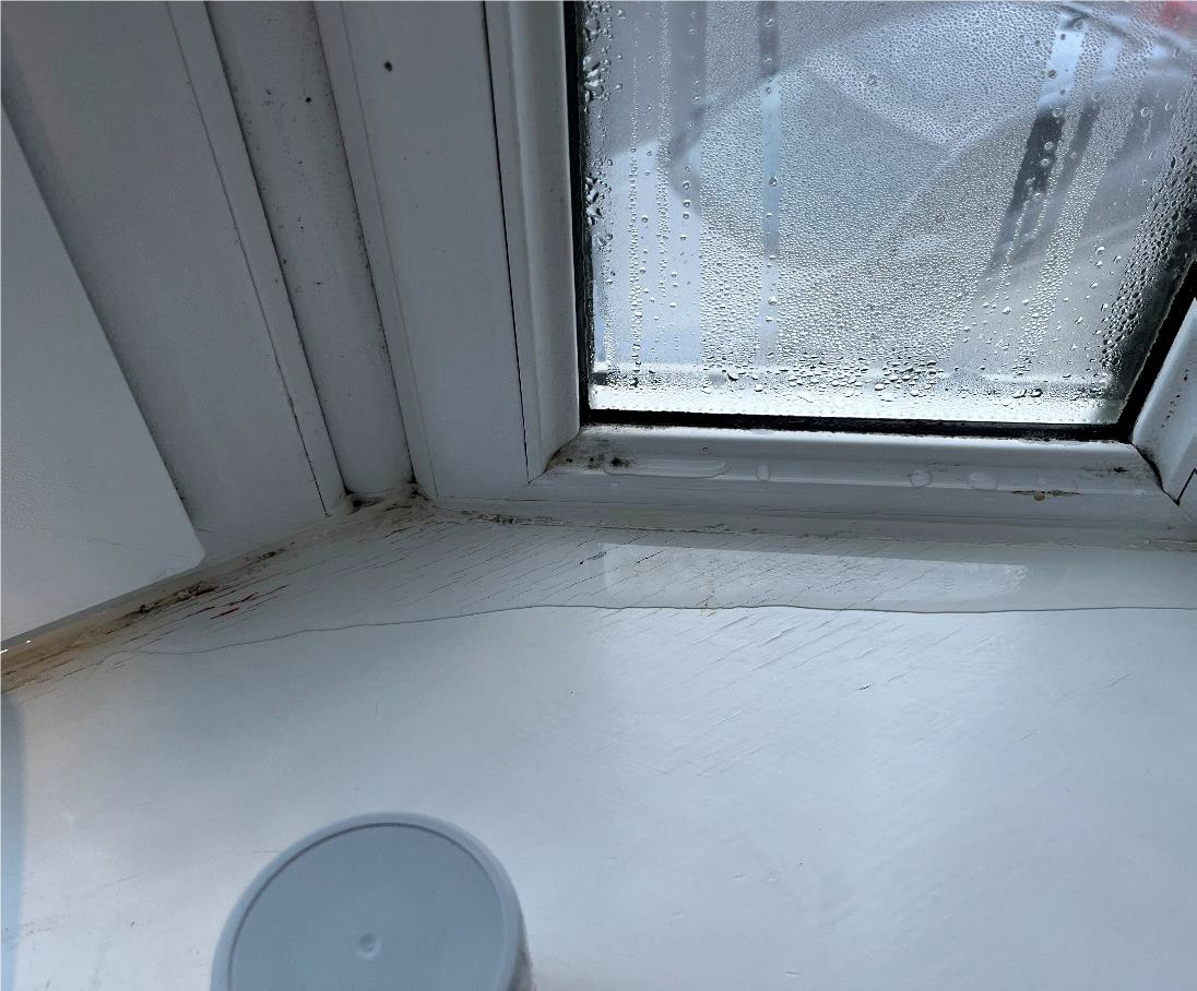 England: Council residents awarded £40,000 in compensation after damp and mould complaints