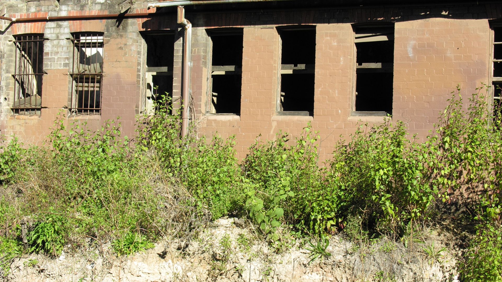 Fund available to bring vacant and derelict land back into use in North Ayrshire