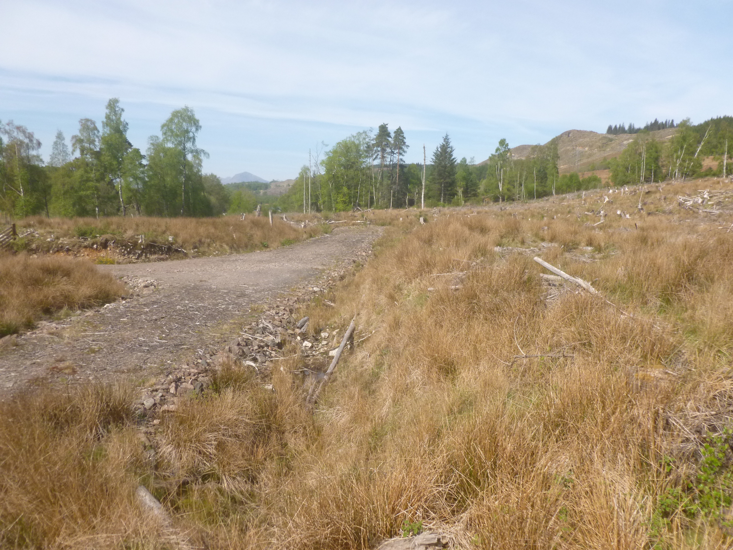 Land secured for woodland croft repopulation project in Glengarry