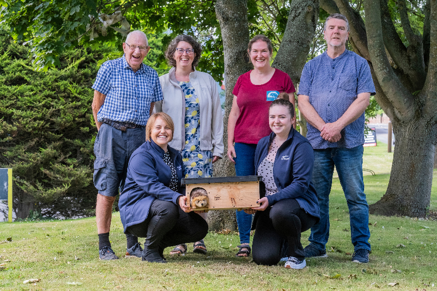 Highways and houses for hedgehogs at Taylor Wimpey project