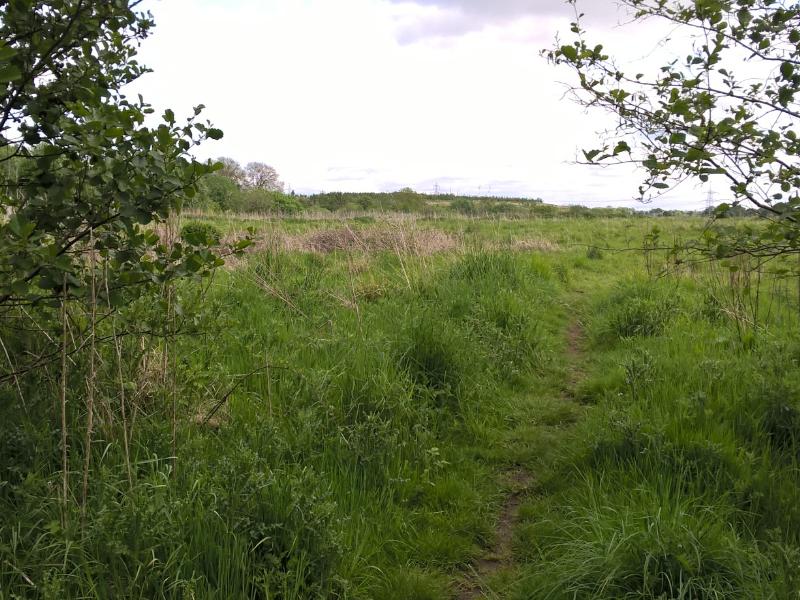 Negotiations begin on disposal of two council sites in Glasgow