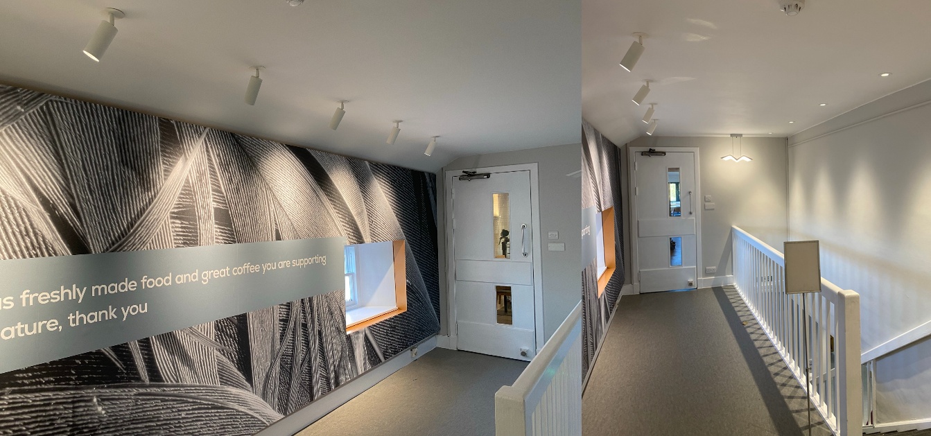 Spot on lighting for RSPB Loch Leven's new café
