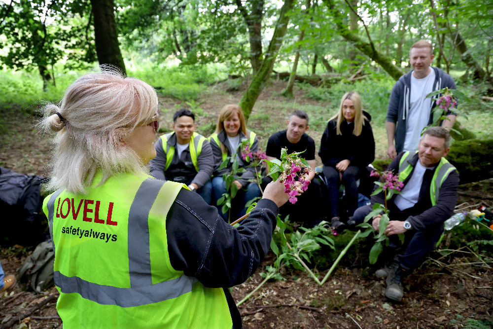 Lovell staff join fight against invasive Himalayan Balsam