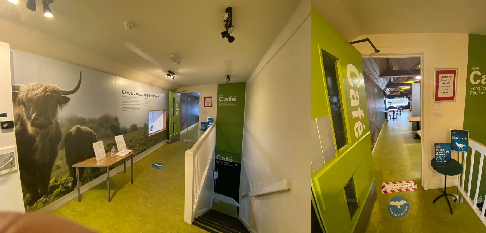 Spot on lighting for RSPB Loch Leven's new café