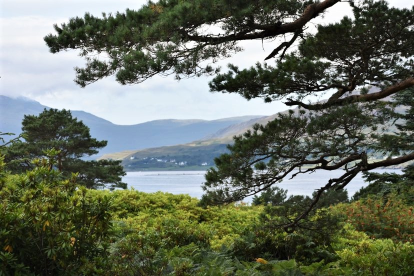 Community-led affordable homes given planning permission on Raasay