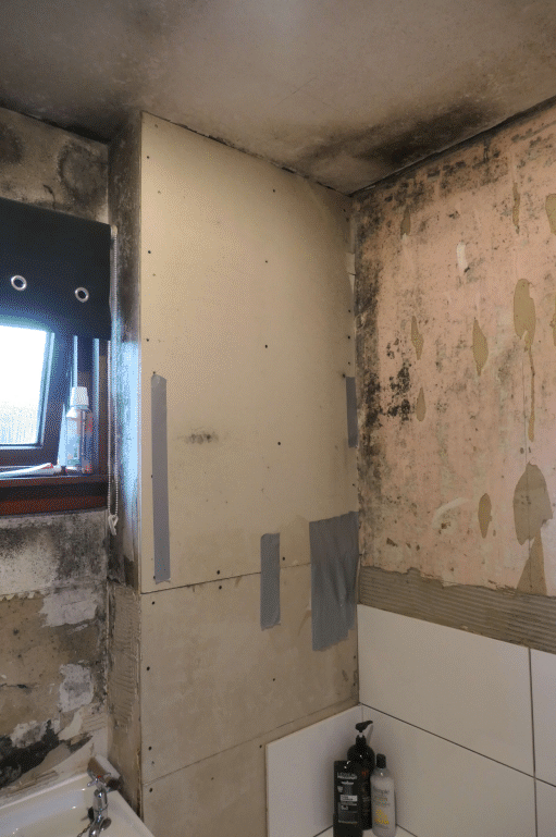 Tenant takes Angus Council to court over mouldy home