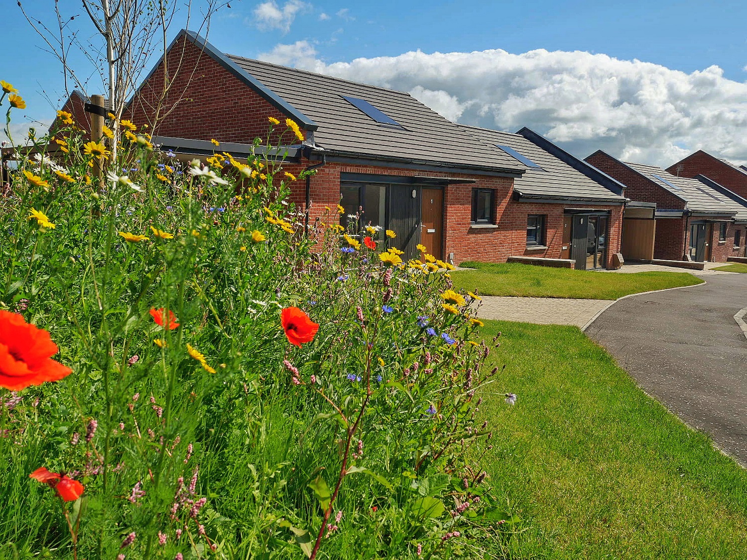 79 inclusive council homes completed in Kilwinning