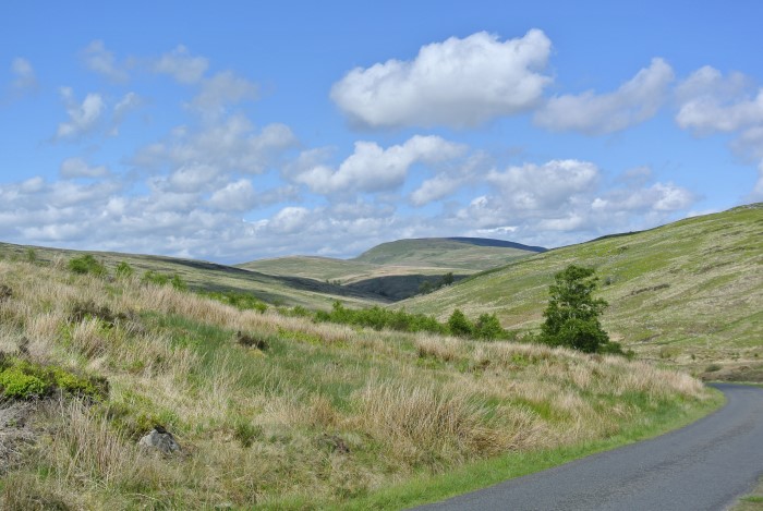 Rewilding Britain donation takes Langholm community buyout crowdfunder past £100,000