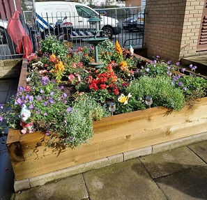 Edinburgh tenants unite to create community garden in city centre