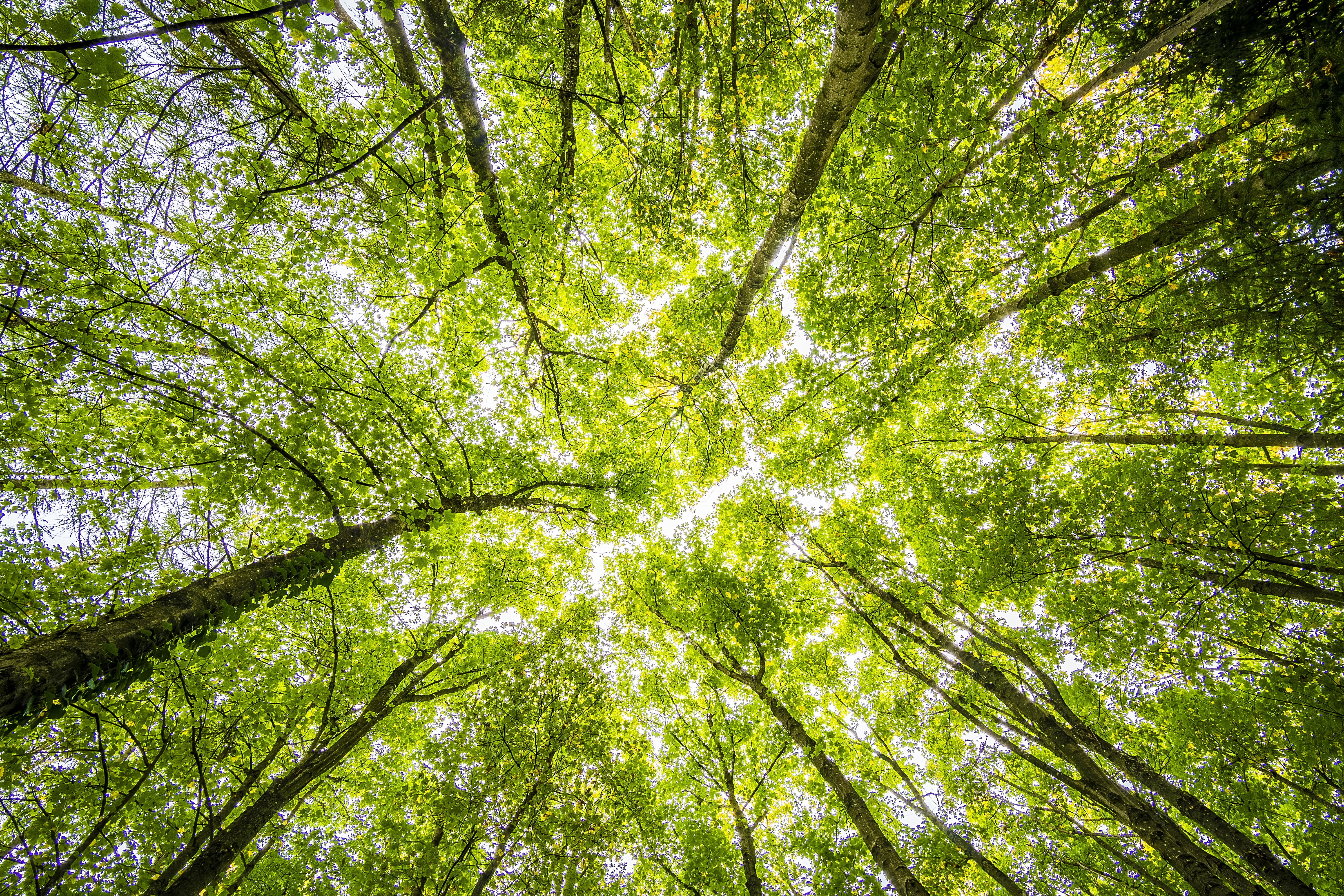 New analysis service to improve access to green spaces throughout Aberdeenshire