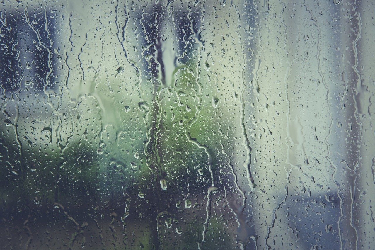 Collette Miller: A clear look at social landlords’ repairing obligations for windows
