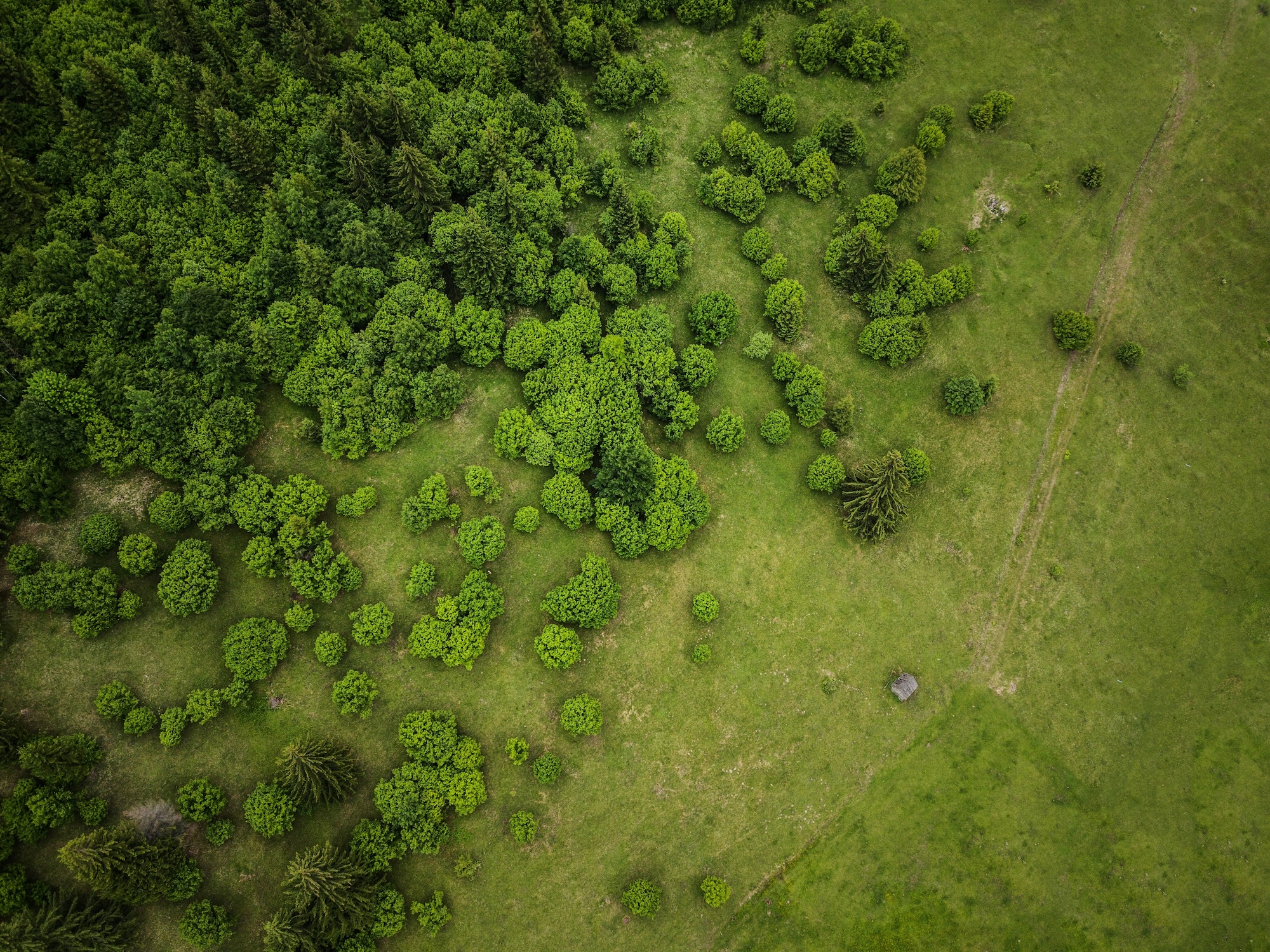 Proposals to set legally-binding biodiversity targets in Scotland backed