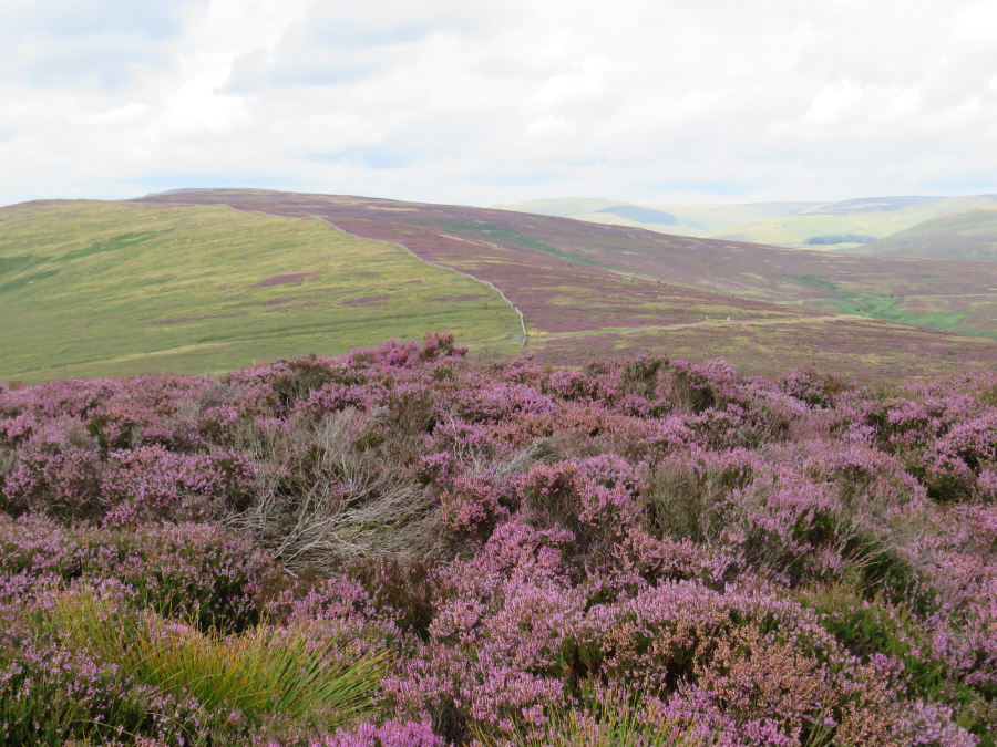 Langholm Initiative calls for donations as community buyout reaches final fortnight