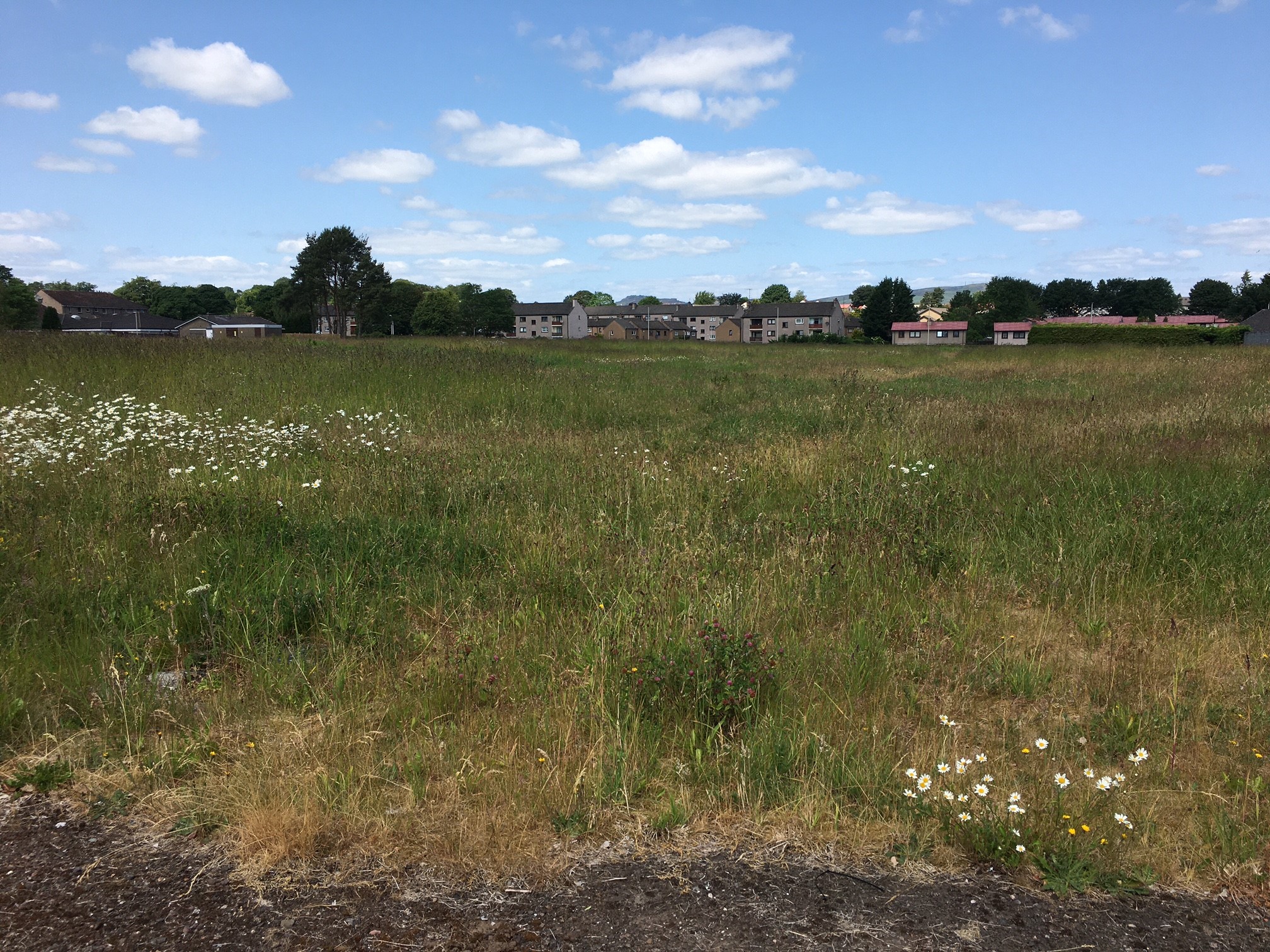 Former Dundee school site with housing potential put up for sale