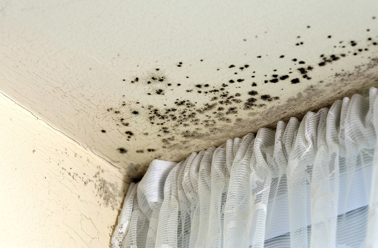 England: Council to pay £5,400 after failing to resolve damp and mould issues