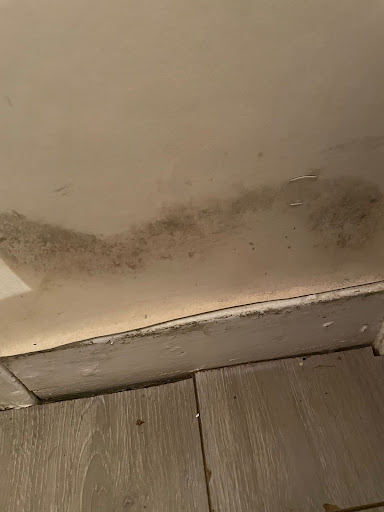 Edinburgh Council tenants stage protest against mould and damp in home