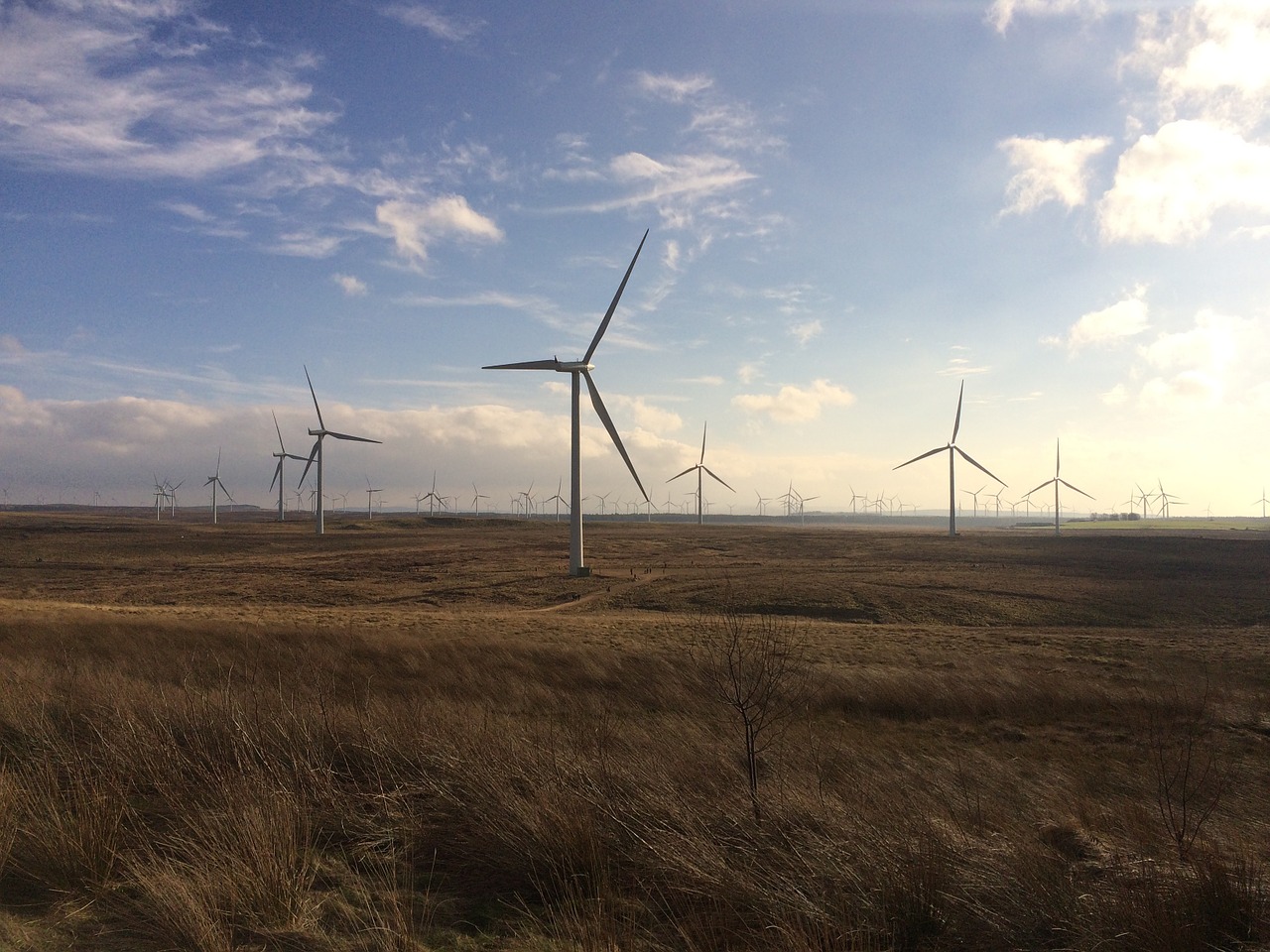New figures reveal extent of Scotland's renewable energy jobs and investment